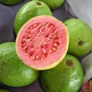 Red poly guava