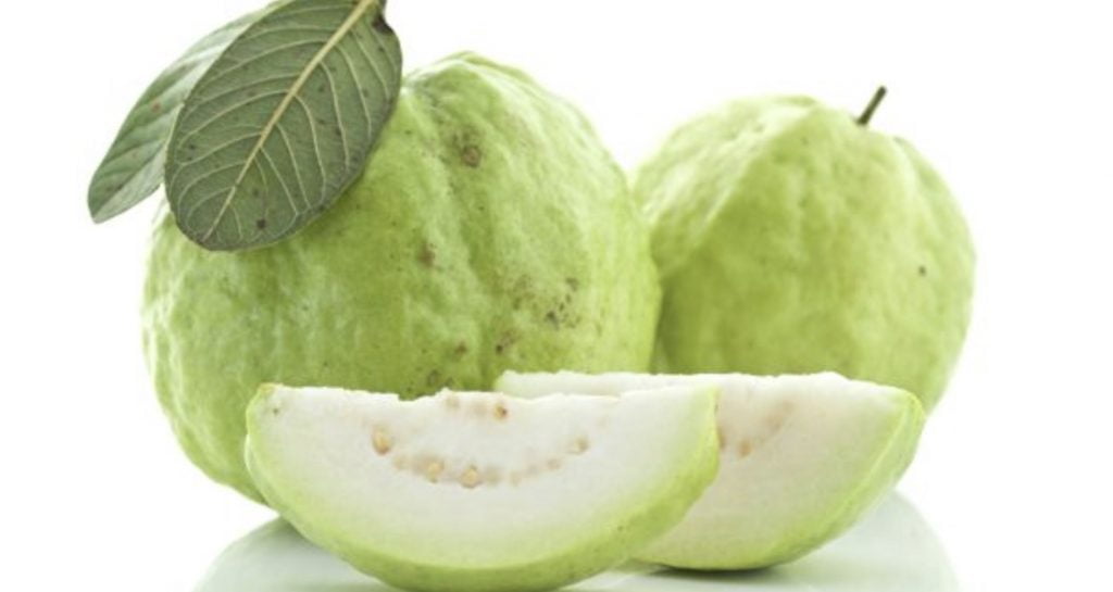 Buy Thai Super Golden 8 Guava Plant » GETSVIEW MARKET