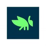 Grasshopper App For Learn Programming For Free On Playstore